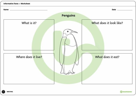 Informative Text Structure - Sorting Activity (Penguins) teaching resource