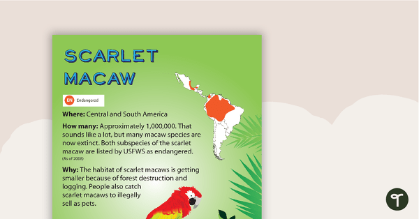 Scarlet Macaw Endangered Animal Poster teaching resource