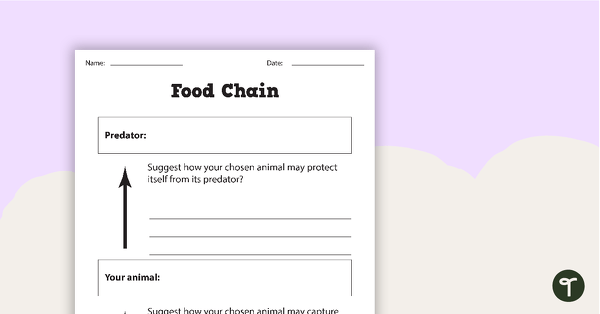Image of Basic Food Chain Worksheet