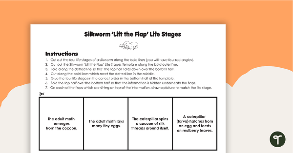Preview image for Silkworm 'Lift the Flap' Life Stages Template - teaching resource