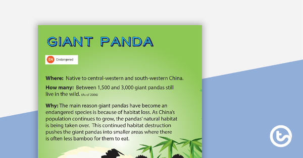 Preview image for Giant Panda Endangered Animal Poster - teaching resource