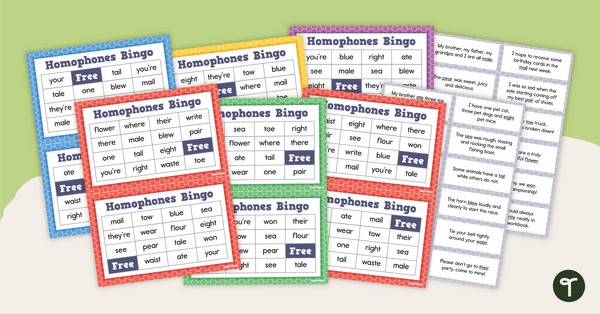 Go to Homophones Bingo teaching resource