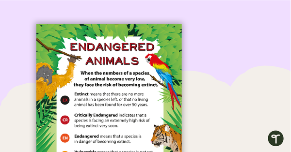 Endangered Animals Classification Poster teaching resource