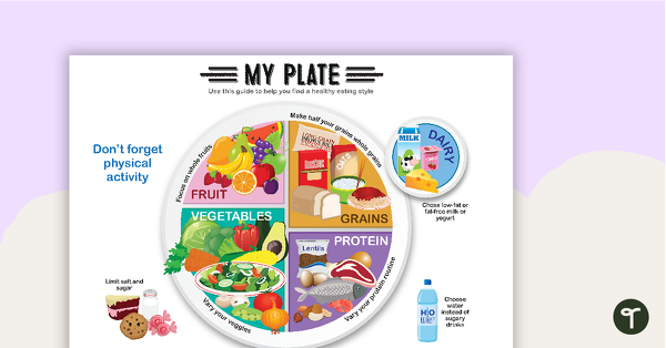 My Plate - Healthy Eating Guide teaching resource