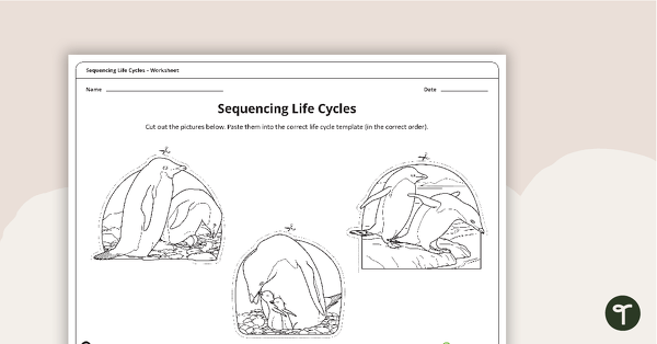 Go to Sequencing Life Cycles Worksheet teaching resource