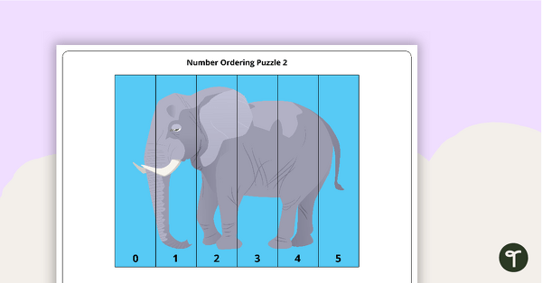 Number Ordering Puzzles teaching resource