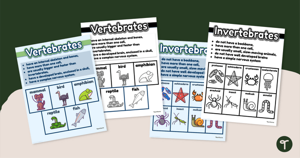 Vertebrates and Invertebrates Posters teaching resource