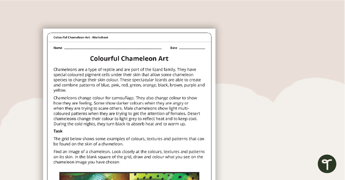 Colourful Chameleon Art Activity teaching resource