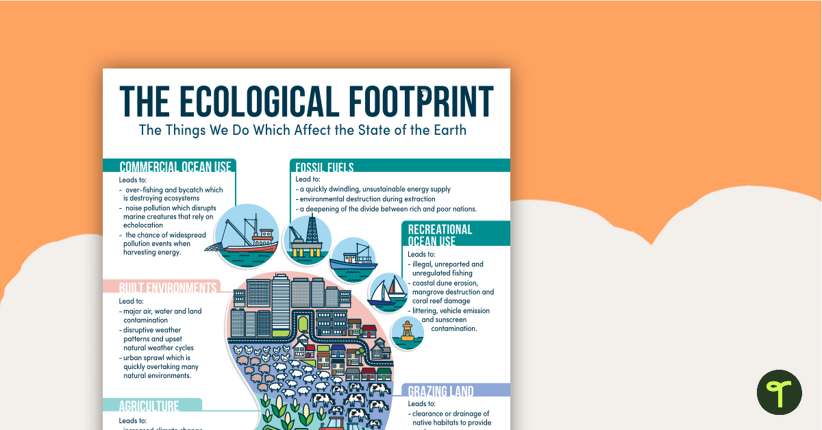 My Ecological Footprint - Reference Sheet teaching resource