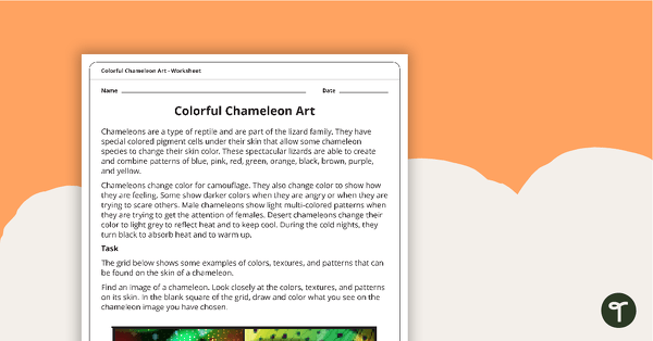 彩色变色龙艺术活动的预览图像 - 教学资源