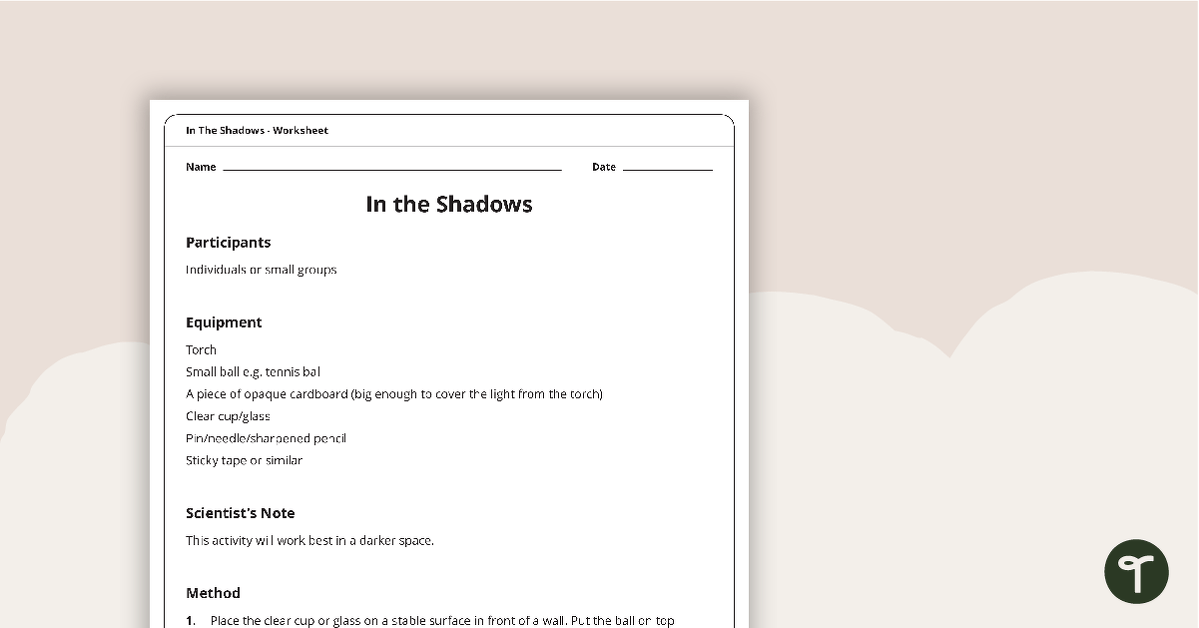 In the Shadows Worksheet teaching resource