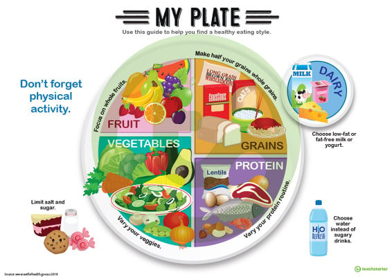 My Plate Poster teaching resource