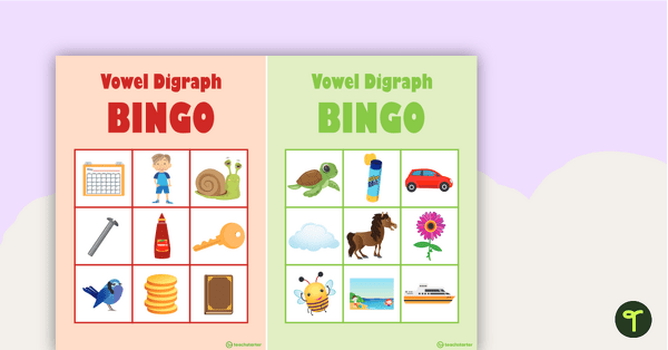 Vowel Digraph Bingo teaching resource