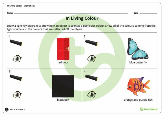 In Living Colour Worksheet teaching resource