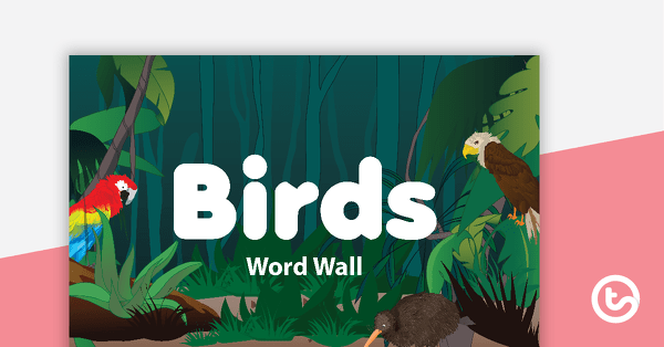 Preview image for Bird Word Wall Vocabulary - teaching resource