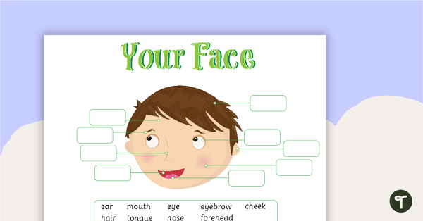 Face Labeling Activity - Color teaching resource