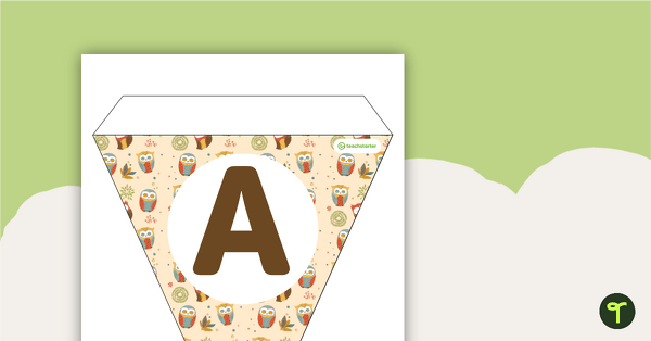 Go to Owls Pattern - Letters and Number Bunting teaching resource