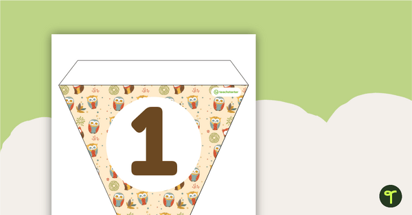 Owls Pattern - Letters and Number Bunting teaching resource