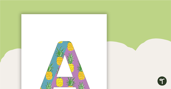 Pineapples - Letter, Number, and Punctuation Set teaching resource