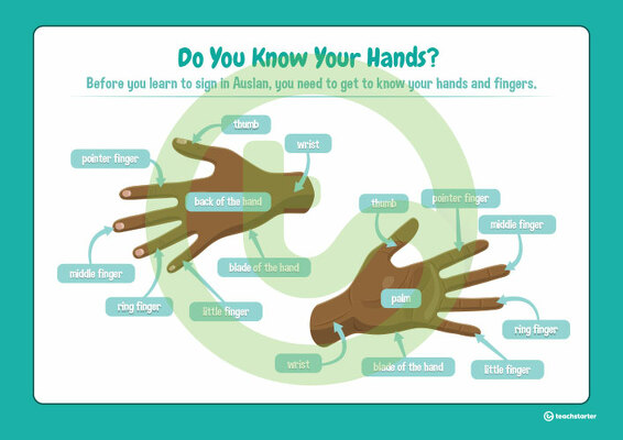 Do You Know Your Hands? Poster teaching resource