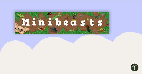 Go to Minibeasts - Banner teaching resource