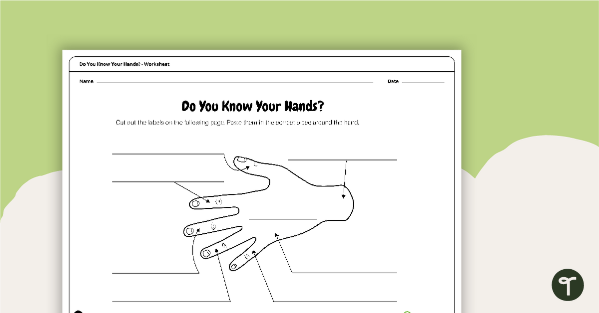 Do You Know Your Hands? Cut and Paste Worksheet teaching resource