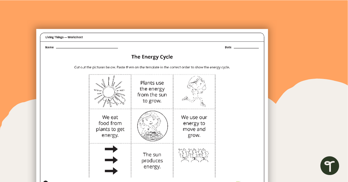 The Energy Cycle - Worksheet teaching resource