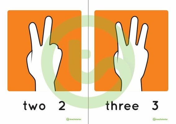 Auslan 0-20 Number Flashcards - Southern Dialect teaching resource