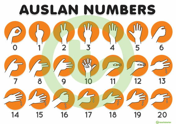 Auslan 0-20 Number Poster - Southern Dialect teaching resource