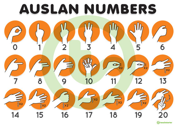 Auslan 0-20 Number Poster - Southern Dialect teaching resource