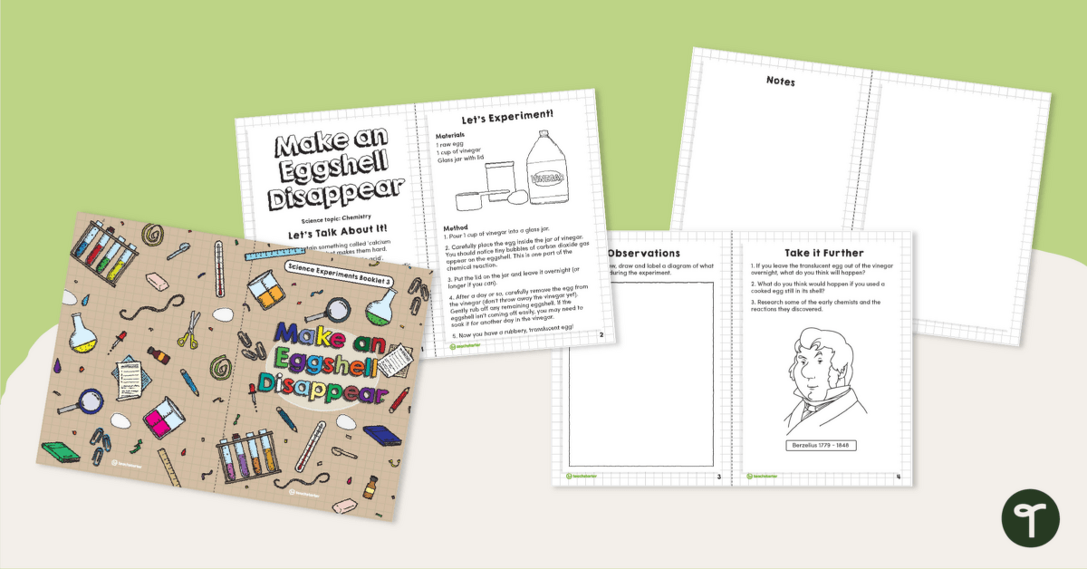 Make an Eggshell Disappear - Science Experiment Booklet teaching resource