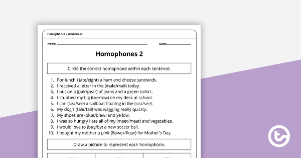 homophones practice pack part 1 teach starter