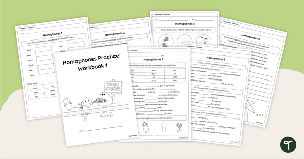 Go to Homophones Practice Workbook 1 teaching resource