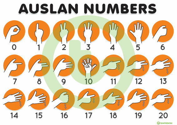 Auslan 0-20 Number Poster - Northern Dialect teaching resource