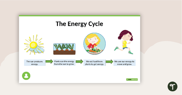 Living Things Need Energy PowerPoint teaching resource