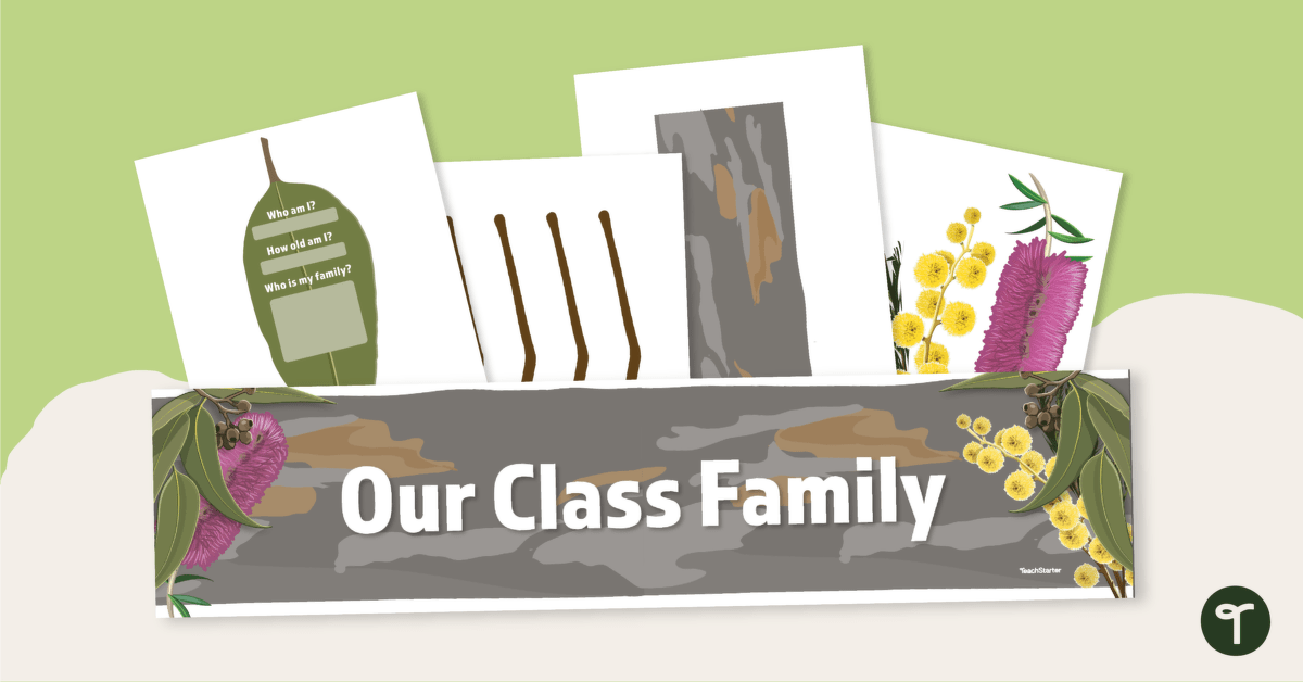 Class Family Tree Display teaching resource