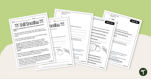 Preview image for Soil Creation – Worksheet - teaching resource