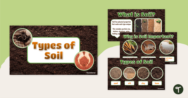 Preview image for Types of Soil – Teaching Presentation - teaching resource