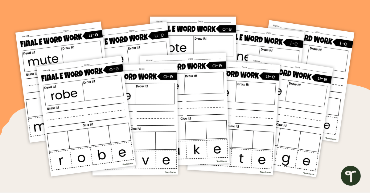 Final E - Word Study Worksheets Pack teaching resource