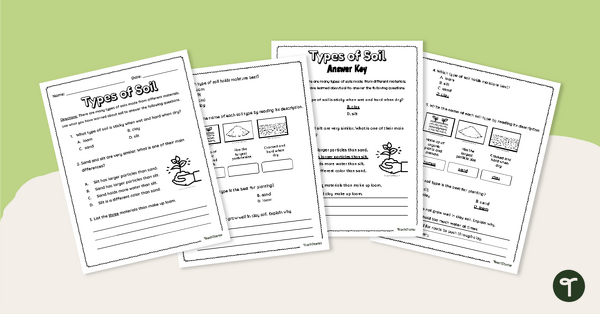 Types of Soil Worksheet teaching resource