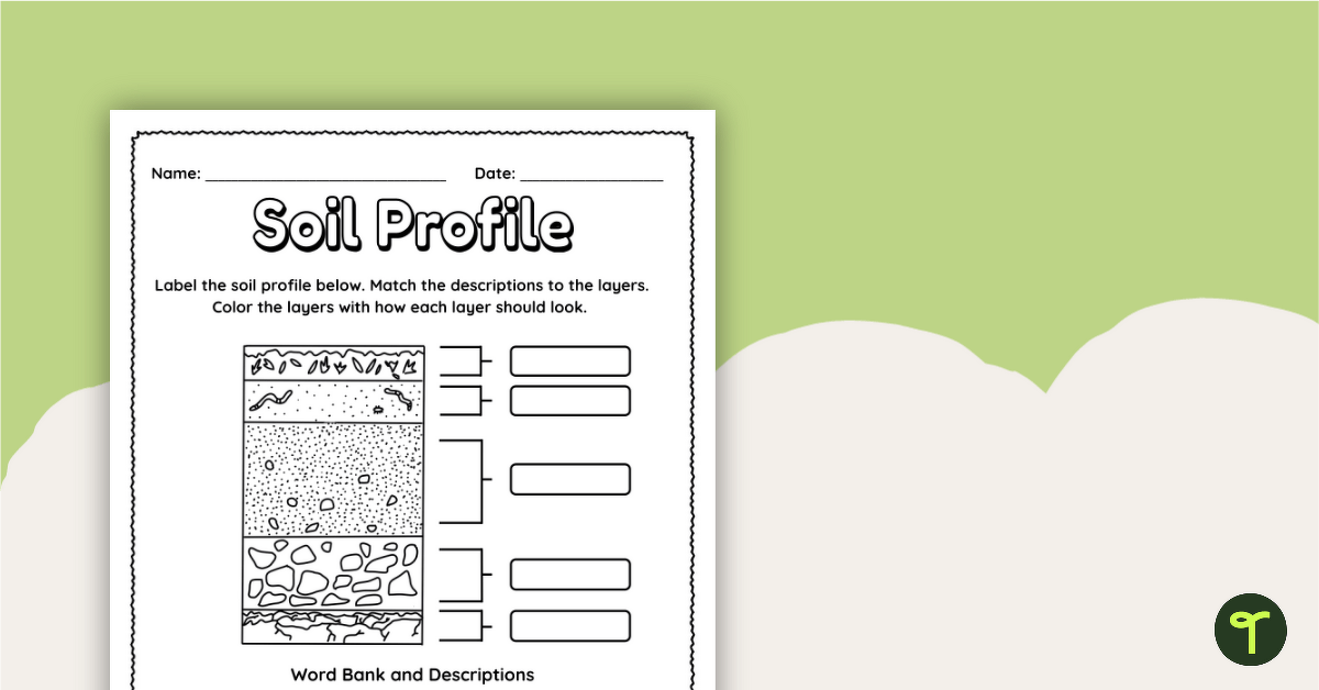 Label a Soil Profile – Worksheet teaching resource