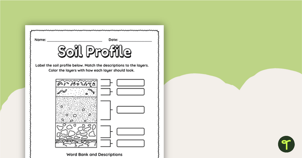 soil profile diagrams labelling