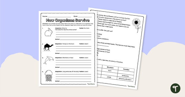 Preview image for How Organisms Survive – Worksheet - teaching resource