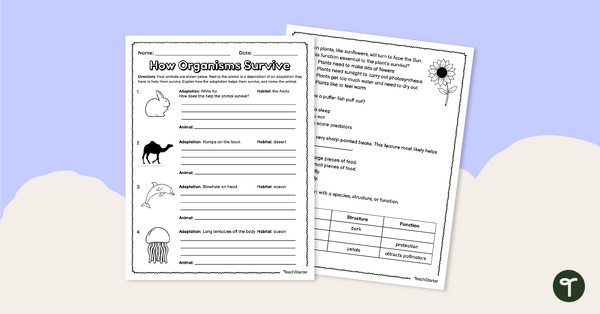 Image of How Organisms Survive – Worksheet