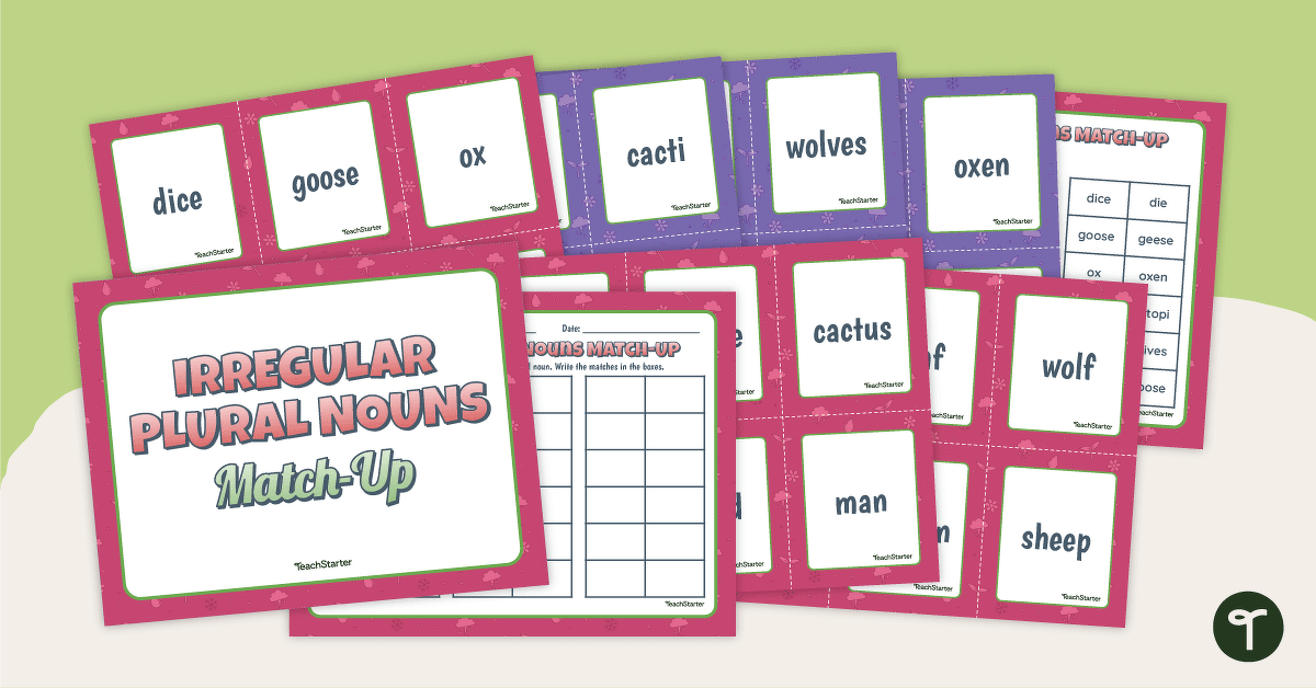 Irregular Plural Noun Match-Up teaching resource