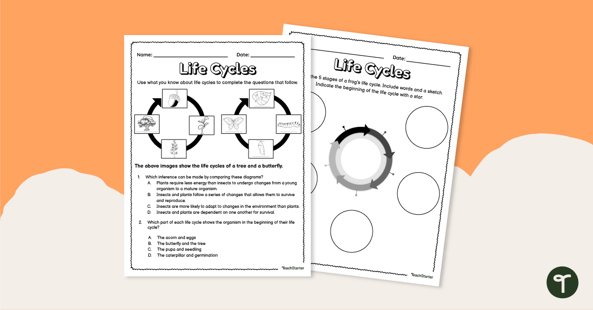 Life Cycles – Worksheet teaching resource