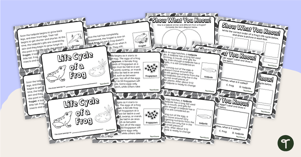 Preview image for Life Cycle of a Frog – Mini-Book - teaching resource