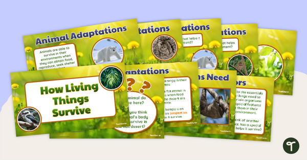 Preview image for How Living Things Survive – Teaching Presentation - teaching resource