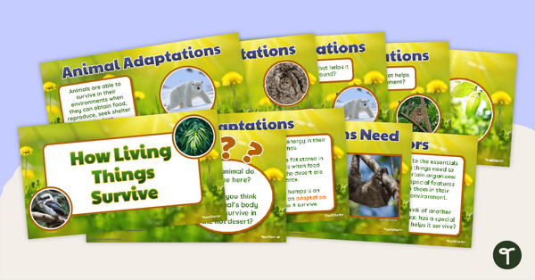 Plant & Animal Adaptations Poster Set