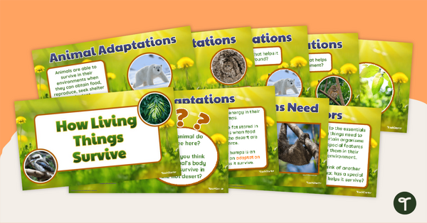 Preview image for How Living Things Survive – Teaching Presentation - teaching resource